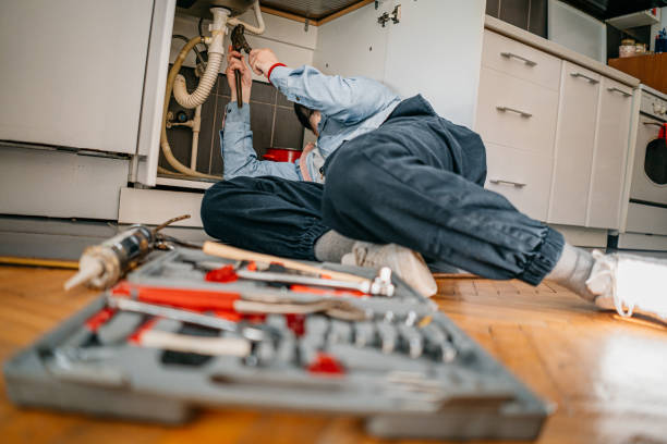 Best Affordable Plumbing Services  in Mount Plymouth, FL