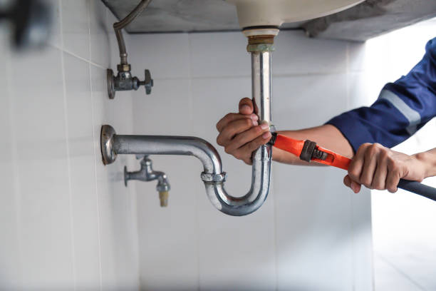 Best Commercial Plumbing Services  in Mount Plymouth, FL